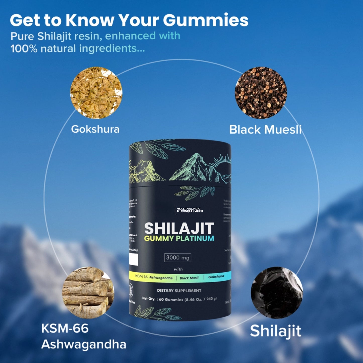 100% SHILAJIT GUMMY PLATINUM